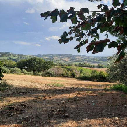 FANO  APPARTAMENTO IN VENDITA